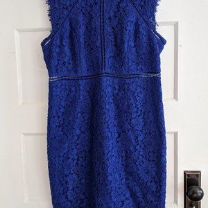 Cobalt Blue Bardot Lace Sheath Dress